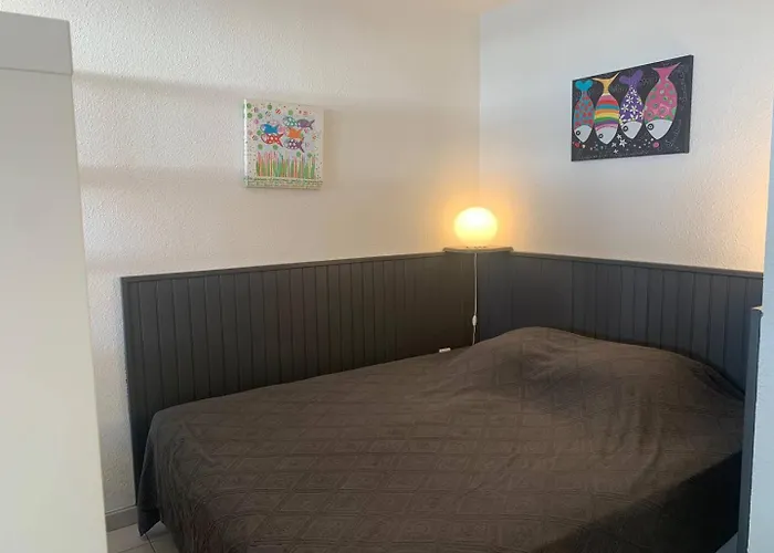 457 4 Pers Heliopolis C Vue 公寓