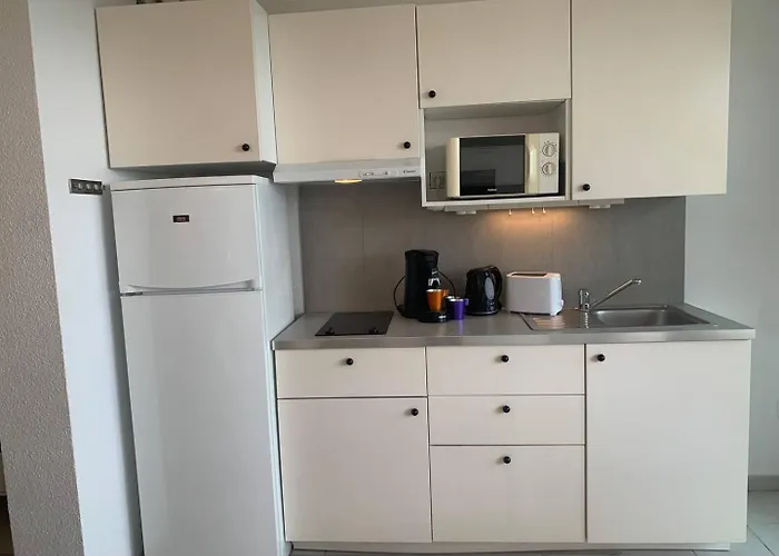 457 4 Pers Heliopolis C Vue 公寓 *